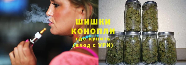 спиды Каменка