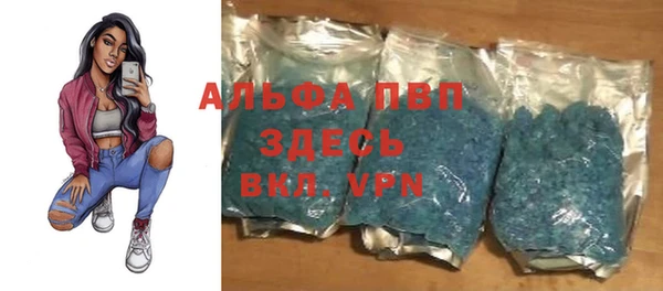 спиды Каменка
