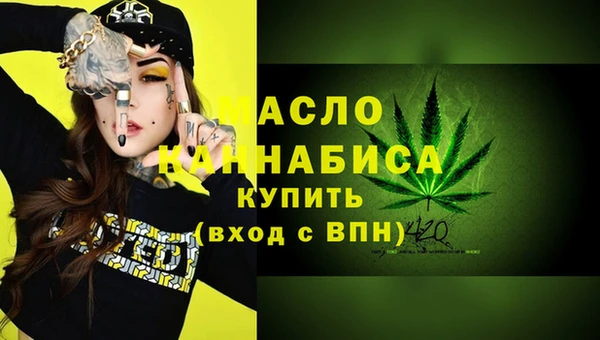 спиды Каменка