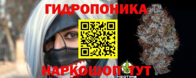 прущие грибы Гагарин