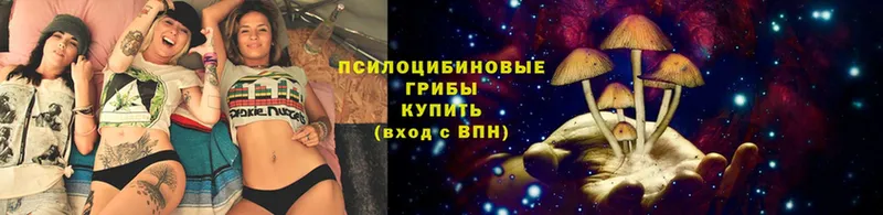 omg сайт  Пушкино  Псилоцибиновые грибы GOLDEN TEACHER 