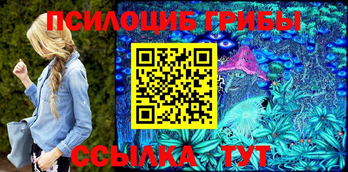 Галлюциногенные грибы Cubensis Пушкино