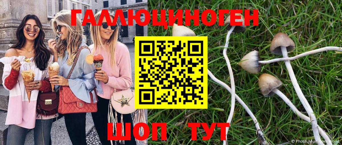 Галлюциногенные грибы мухоморы Пушкино